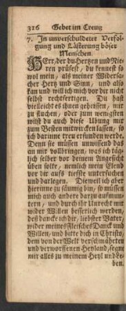 7. In unverschuldeter Verfolgung und Lästerung böser Menschen.