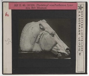 Athen, Parthenon,unbekannt, Pferdekopf vom Wagen der Selene