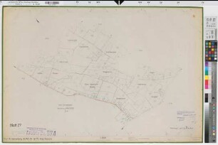 Walstedde (Drensteinfurt), Flurbereinigung Walstedde, Bl. 27 Schätzungskarte Altahlen Flur 19