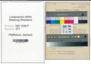 Entnazifizierung Gerhard Pfefferkorn , geb. 31.03.1913 (Hilfskraft)