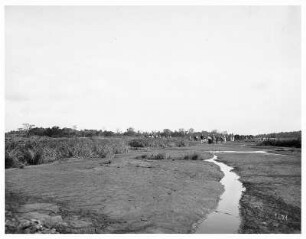 Touristen laufen auf dem Asphalt des Pitch Lake auf Trinidad : La Brea, Trinidad und Tobago. Touristen laufen auf dem Asphalt des Pitch Lake (Asphaltsee) mit Wasserkanälen auf Trinidad