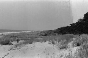 Strand : Strand bei Jantarny.