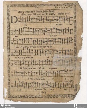 VII. Duc me