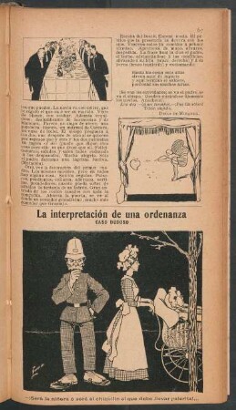 La interpretación de una ordenanza - [Viñeta cómica] : Caso dudoso