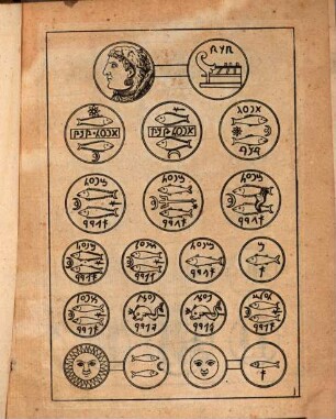 [Numi punici. Variorum numismatum Punicorum Graecorum et Romanorum collectio]