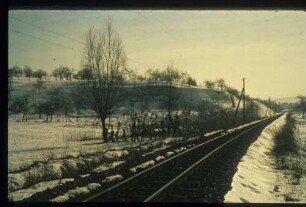 zwischen Marbach und Murr