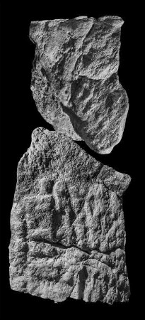 La Florida, Stela 8 (FLD: St. 8)