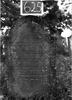 Grabstein 625 (Index: 100104998) Material: Sandstein Zustand: leicht verwittert, bewachsen Maße HxBxT: 118x59x10 cm Beschreibung: Stele, eingezogener Rundbogenabschluss, Schriftfeld eingetieft mit Konvexbogenabschluss: Grabstein 625