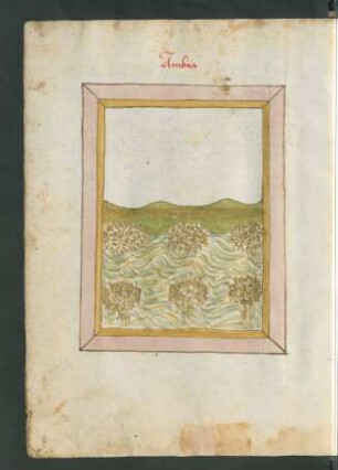 Ambra