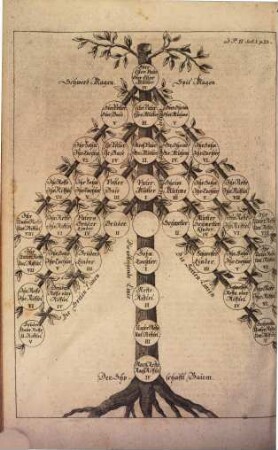 Corpus Constitutionum Marchicarum, Oder Königl. Preußis. und Churfürstl. Brandenburgische in der Chur- und Marck Brandenburg, auch incorporirten Landen publicirte und ergangene Ordnungen, Edicta, Mandata, Rescripta etc. : Von Zeiten Friedrichs I. Churfürstens zu Brandenburg, etc. biß ietzo unter der Regierung Friderich Wilhelms Königs in Preussen etc. ad annum 1736. inclusive, 2. Von Der Justiz so wol in Civil- als Criminal- und Fiscal-Sachen ...