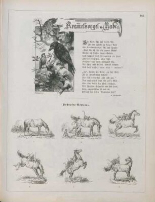 "Krametsvogel u. Rabe" "Bestrafte Neckerei"
