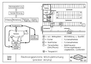 Rechnergestützte Milchviehhaltung (precision dairying)