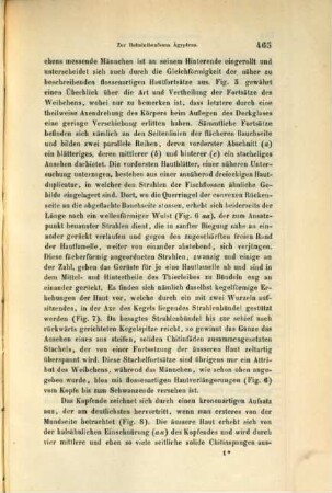 Separatabdrücke aus den Sitzungsberichten der Kais. Akademie d. Wiss. in Wien, math.-nat. El.. 8,2