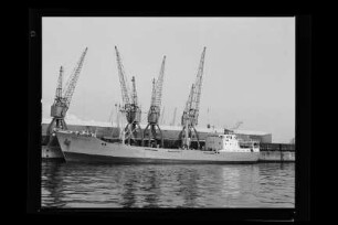 Erika Schulte (1954), Schulte & Bruns, Emden