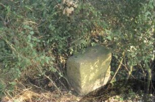 Fischbek: Wirtschaftsweg nördlich von Fischbeker Moor: Grenzstein [Nr. 10]: Inschrift Amt Tremsbüttel: auf Schmalseite Hufeisen-Symbol