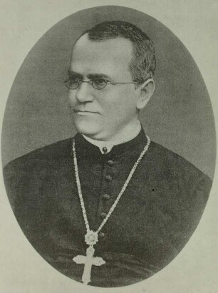 Gregor Mendel : Unbekannter Fotograf. Bildnis Gregor Mendel (1822-1844)