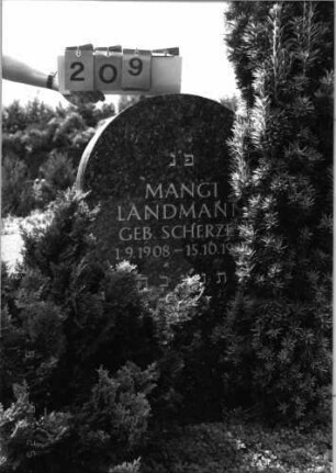 Grabstein 209