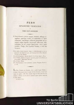 Pero Spadone Vernino o Pero San Germano