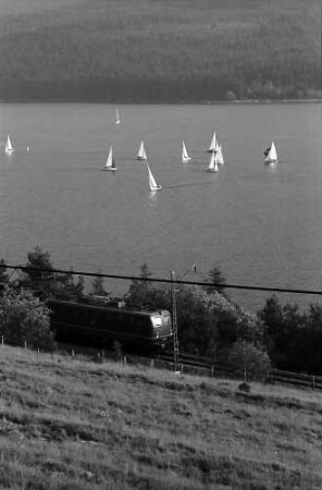 Segelregatta auf dem Schluchsee