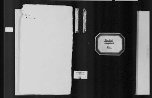 Durlach, evangelische Gemeinde: Standesbuch 1854