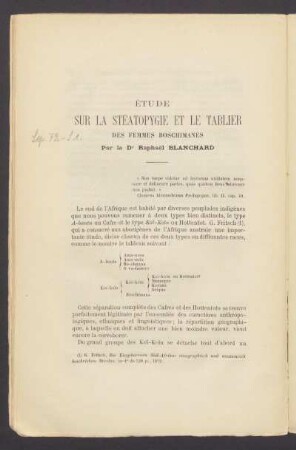 Étude sur la stéatopygie et le tablier des femmes boschimanes