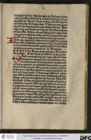 Omelia beati Gregorii pape tredecima, in basilica beati Felicis confessoris ad populum.