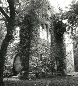Sachsenburg (Kreis Artern). Ruine des Palas