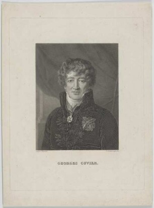 Bildnis des Georges Cuvier