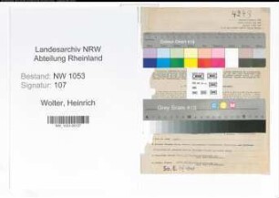 Entnazifizierung Heinrich Wolter , geb. 16.03.1905 (Rechtsanwalt)