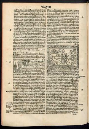 Incipit secundus liber Malachim. i. quartus Regum.