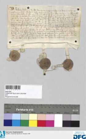 Raugräfin Katharina die Alte, ihr Sohn Raugraf Ruprecht und dessen Frau Katharina die Junge geben ihre Zustimmung, daß Raugraf Georg, ihr Mitgemeiner zu Altenbamberg (Beimburg) seinen Sohn Wilhelm auf das hinterste Haus zu Altenbamberg (Beym-) bewittumt hat, das früher Georgs + Vetter Raugraf Konrad dem Alten gehörte. Wilhelm hat darauf seine Frau Kunigunde bewittumt, Tochter des + Grafen Philipp von Sp., des Schwagers von Ruprecht. Katharina, Ruprecht und Katharina siegeln.