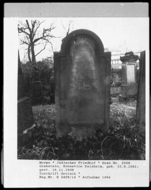 Grabstein der Ernestine Dalsheim (gestorben 1909.11.16)