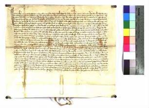 Vidimus des Hofgerichts Rottweil über eine Urkunde König Wenzels von 1391 April 15