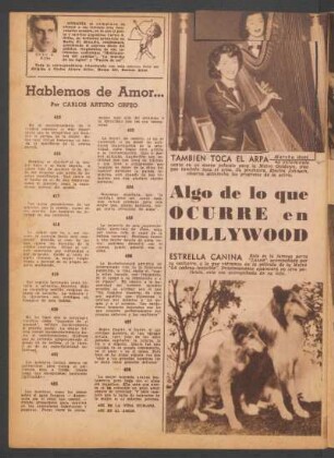 Algo de lo que ocurre en Hollywood