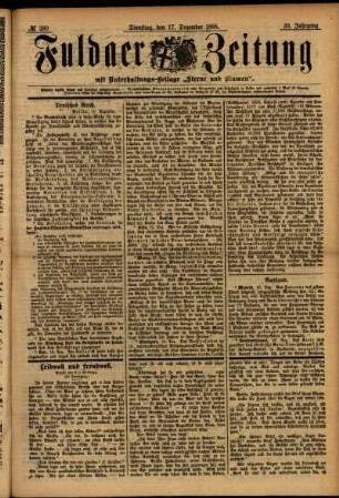 Ausgabe vom Dienstag, den 17. Dezember 1895.