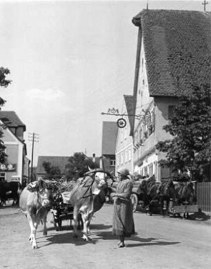 Thon Dorfscenen : Nürnberg-Thon. Dorfstraße mit Frau und Ochsenkarren