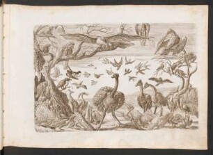 XI. Der Strauß und die Vögel