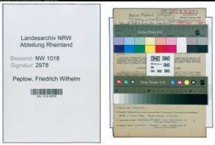 Entnazifizierung Friedrich Wilhelm Peplow , geb. 22.06.1908 (Ingenieur)