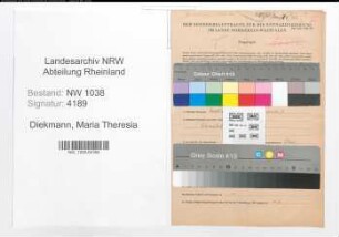Entnazifizierung Maria Theresia Diekmann , geb. 05.07.1908 (Assessorin)