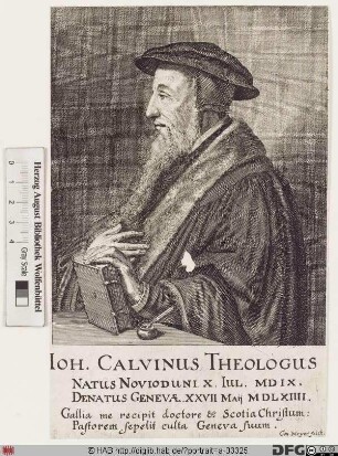 Bildnis Johannes Calvin (eig. Jean Cauvin)