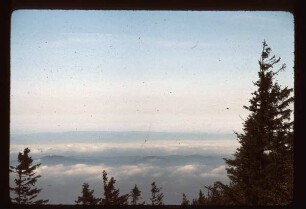 Kaiserstuhl und Vogesen