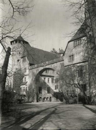 Michelstadt, Schloss Fürstenau : Michelstadt. Schloß Fürstenau. Ansicht von Südwesten mit Galeriebogen