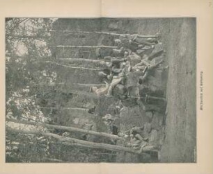 Waldparthie auf Rathsberg