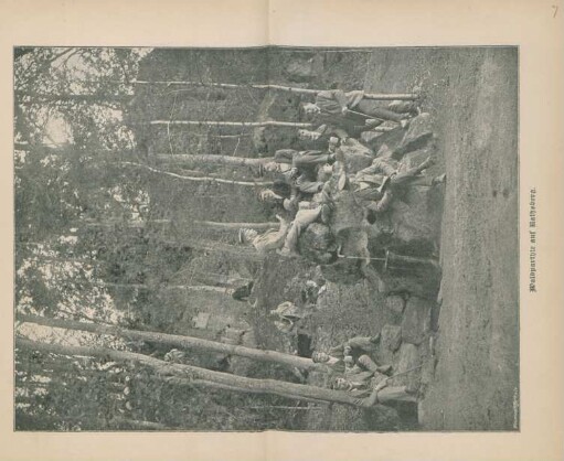 Waldparthie auf Rathsberg