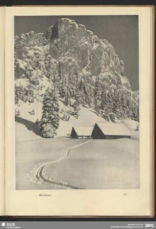 Die Skispur