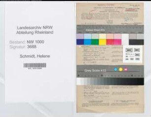 Entnazifizierung Helene Schmidt, geb. 29.08.1901 (Stenotyp.)