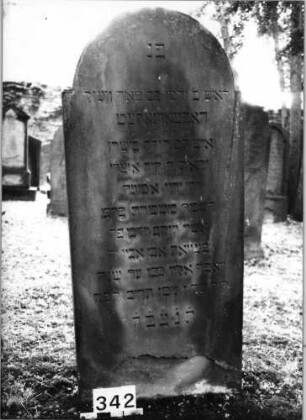 Grabstein 342 (Index: 99629825) Material: Sandstein Zustand: unten abgeblättert Maße HxBxT: 153x67x10 cm Beschreibung: Stele mit eingezogenem Rundbogenabschluß: Grabstein 342