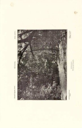 Plate LXVI. Sigiriya. Sigiri-Gala. Pokuna on summit.