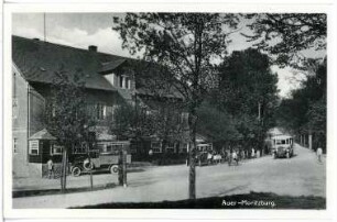 Moritzburg. Auer