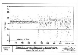 Deviation rate of data during one weighing procedure of a calf